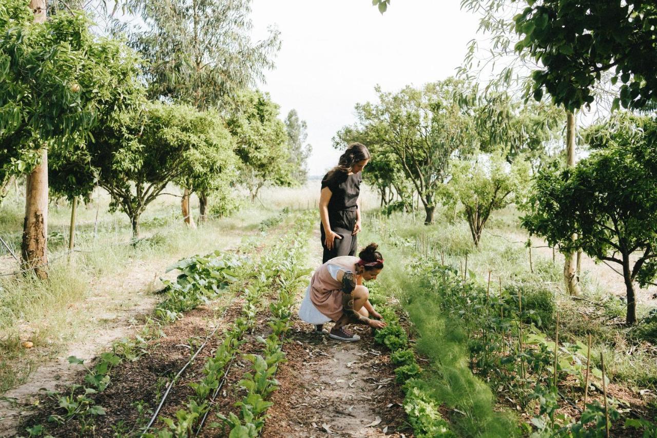 Águas de Moura Humus Farm 빌라 외부 사진