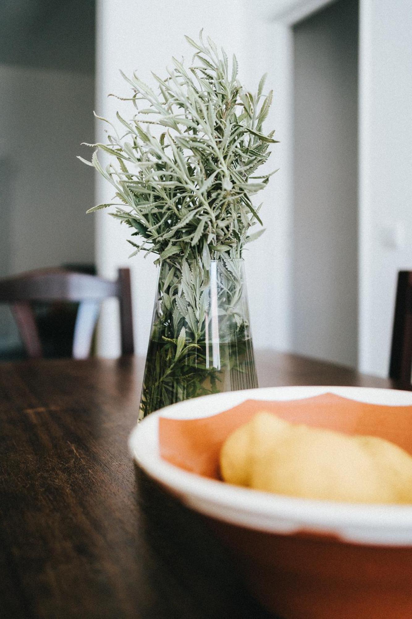 Águas de Moura Humus Farm 빌라 객실 사진