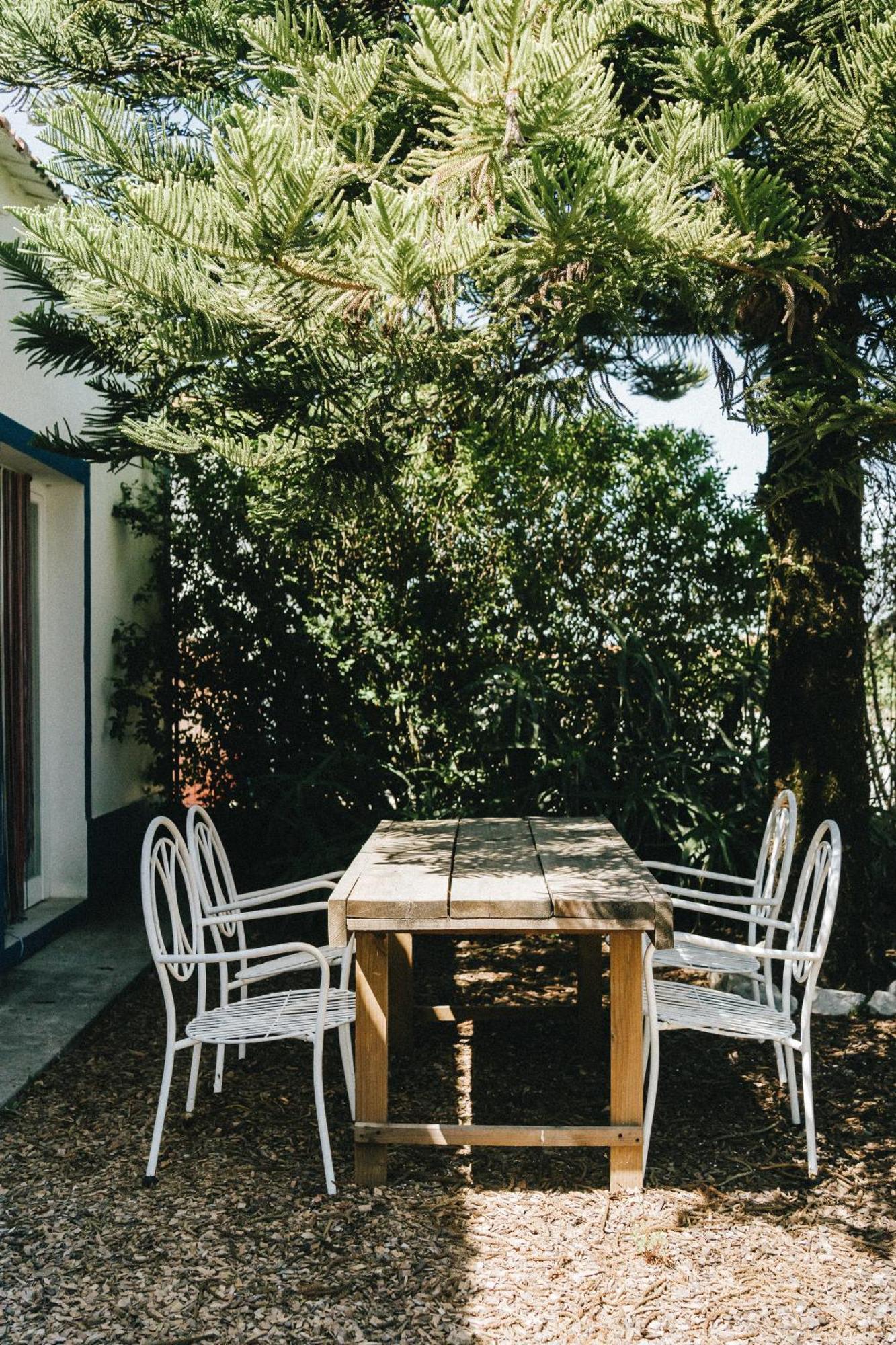 Águas de Moura Humus Farm 빌라 객실 사진